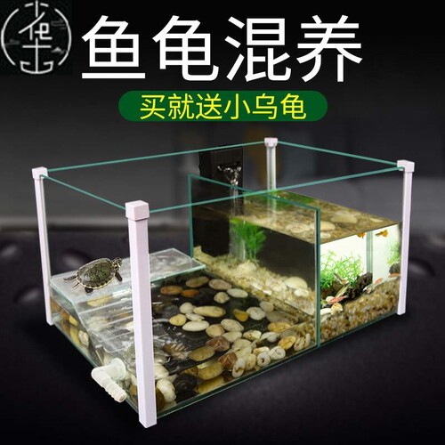 turtletanksmwqifhturt