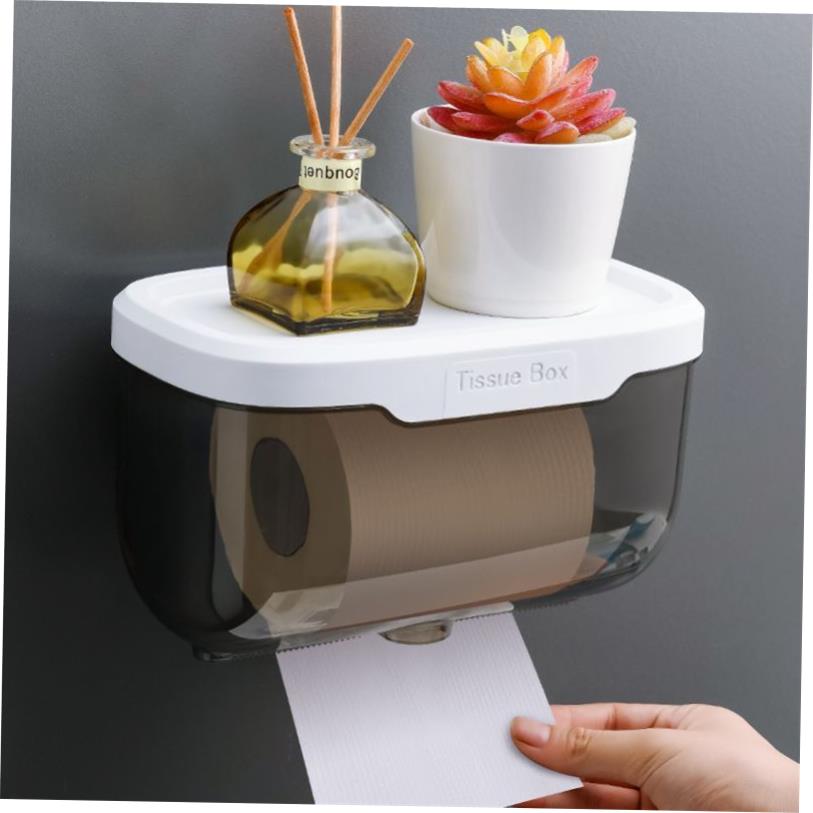 ToiletPaperHdWMounbyB