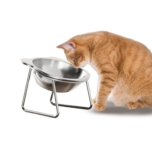 Tilted Cat Bowl Stainless Steel Cat Food Bowls with Metal St
