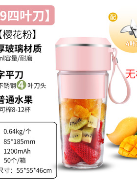 Fruit Cup Small Portable Blender Juicer Mixer迷你榨汁杯