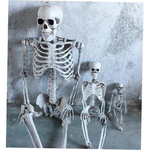 Halloween skeleton with a mummified horror decoration 骷髅