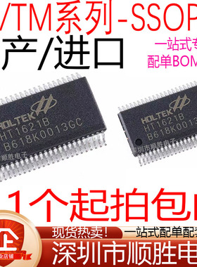 HT1621 HT1621B TM1621B TM1721 TM1727 贴片 SSOP-48 驱动芯片