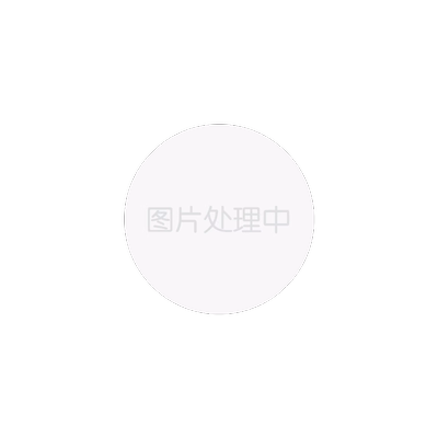 泰利蒙适用OPPOWatch4Pro防窥膜
