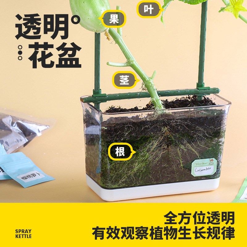 热销儿童阳光种植房幼儿园小学生种菜植物生长观察盒箱科学小实验