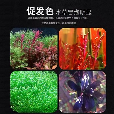 热销尼奥新款RGB PRO水草增色植物灯 鱼缸LED全光谱水草灯 小缸造