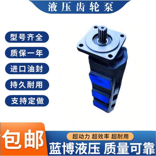 热销中联重科吊车齿轮油泵 1010000484液压泵 1010000135
