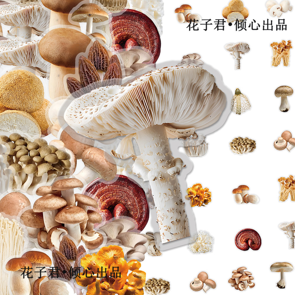 100张蘑菇PET贴纸ins卡通创意小众菌类图案透明贴画diy手账笔记本
