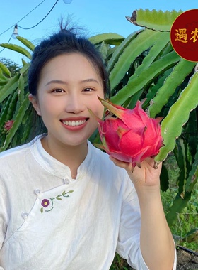 海南三亚金都一号红心火龙果5斤大果树上熟 甜蜜多汁