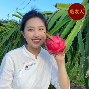 海南三亚金都一号红心火龙果5斤大果树上熟 甜蜜多汁