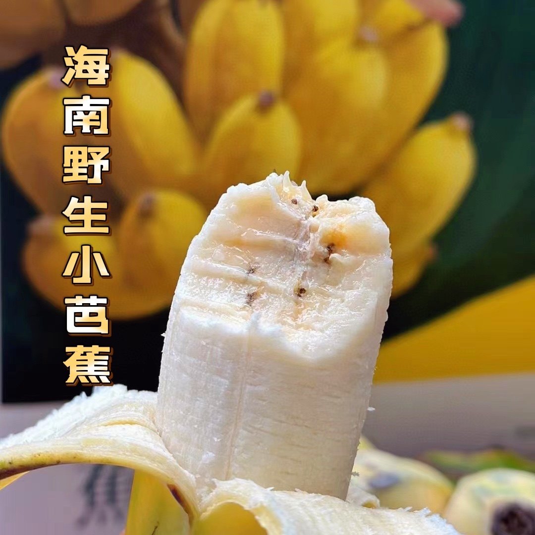 海南五指山野生小芭蕉4斤 纯天然自然熟不打药 软糯甜 顺丰