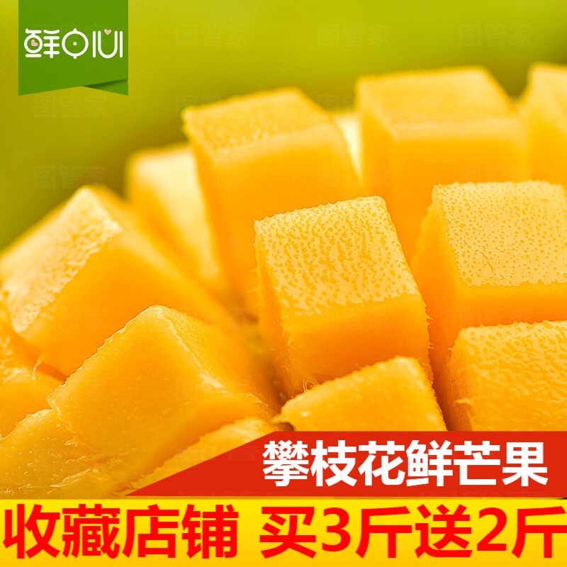 新鲜四川攀枝花凯特芒果3斤装现摘现发芒果新鲜买3斤送2斤共发5斤在类目 水产肉类/新鲜蔬果/熟食, 新鲜水果, 芒果中 - 来自Buy2taobao.com提供专业的淘宝代购服务