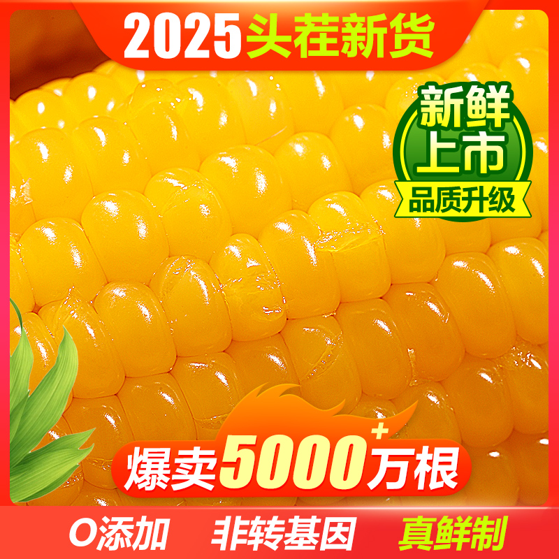 新鲜黑龙江玉米海农壹品精选大棒