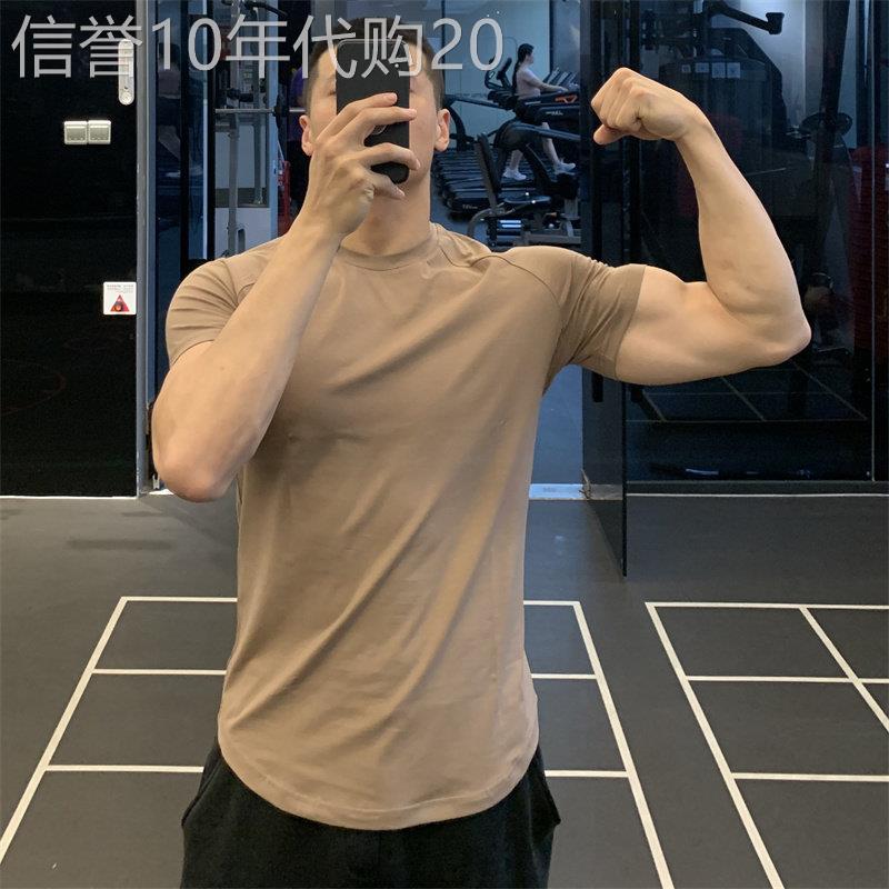 VLONG KARA圆弧下摆男运动短袖t恤速干训练弹力纯色上衣健身衣