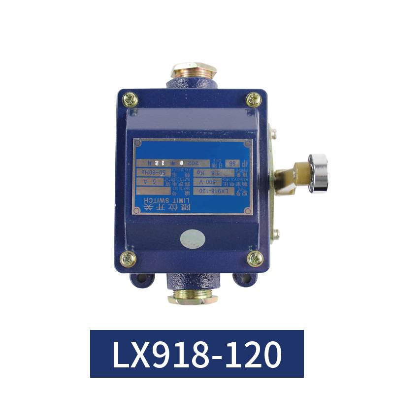 重型船用限位开关LX918-120 11L 1C1Z 11G 行程开关 500V可调式5A