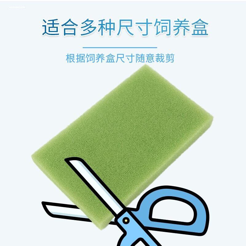 角蛙专用生化棉细海绵垫