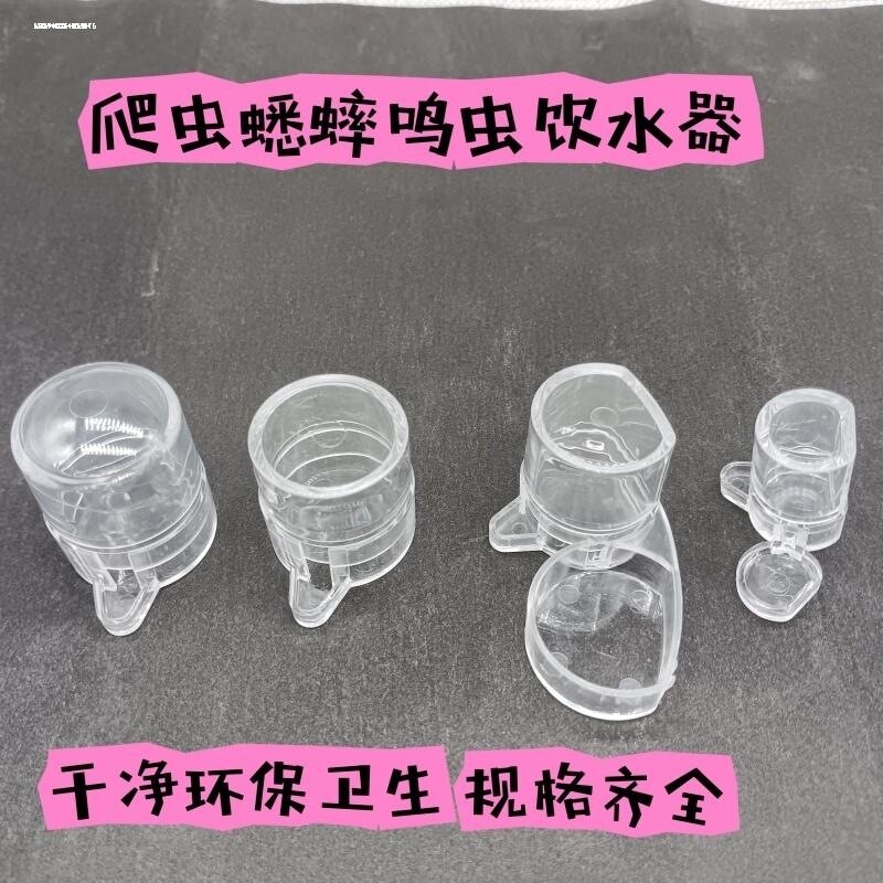 蟋蟀蛐蛐饮水器蓄碗油葫