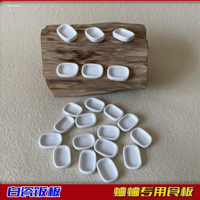 蟋蟀水碗饭板蛐蛐蓝边水