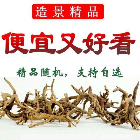 摆件天然沉木杜鹃根精品