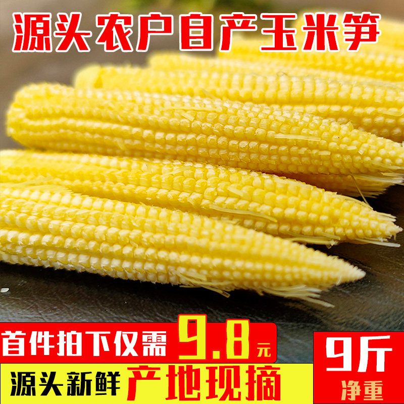 广西即食水果玉米农家迷你小玉米笋新鲜即食玉米笋芯玉米心玉米芯 - 实物图