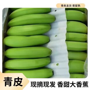 云南青皮香蕉高山生态甜糯山地蕉高原生香蕉不打药农家绿香蕉新鲜