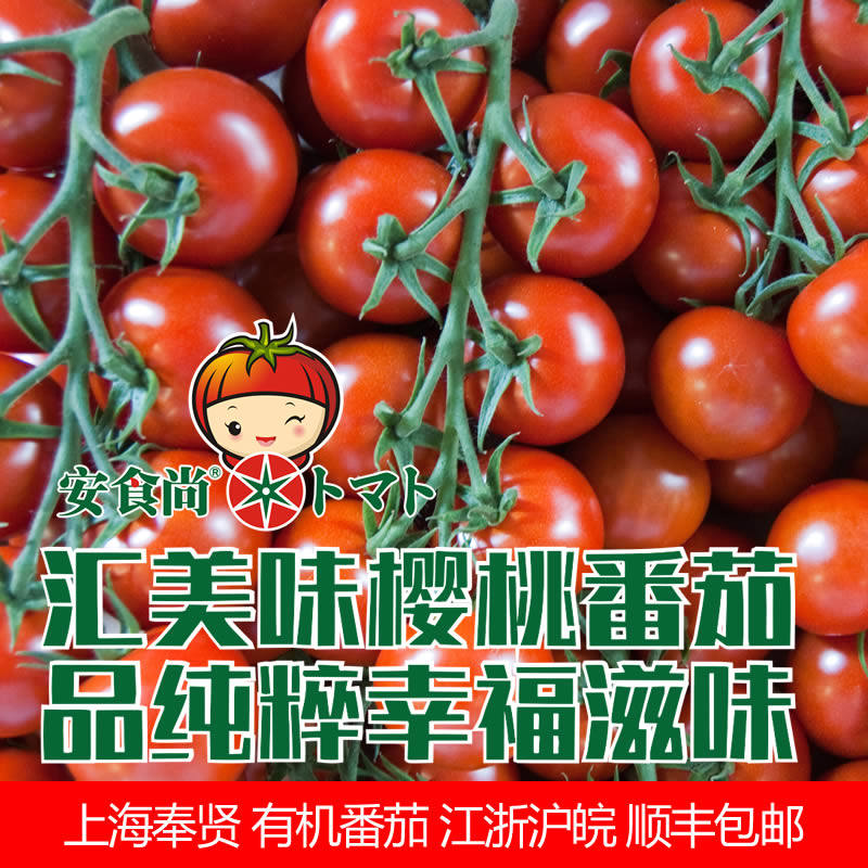 上海安食尚有机农场爆浆樱桃番茄圣女果5斤江浙沪皖包邮可采摘