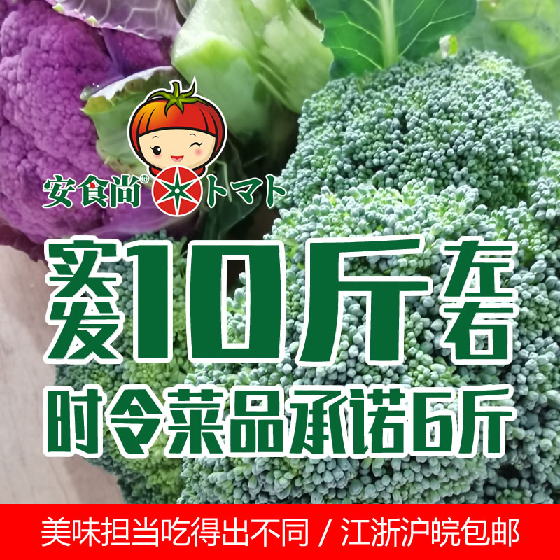 上海本地种植安食尚新鲜蔬菜组合