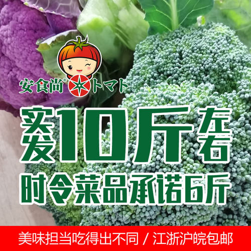 上海安食尚农场自产蔬菜宅配组合新鲜无激素产妇孕妇婴幼儿食用 - 封面