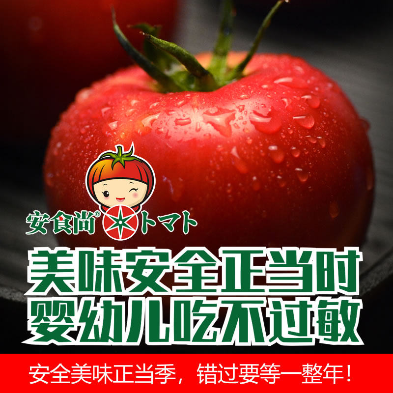 上海本地自然熟日本番茄大粉沙沙瓤西红柿婴儿辅食孕妇产妇即食