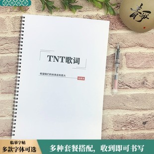 TNT时代少年团歌词本学生鲸落体情书体奶酪体行楷临摹控笔练字帖