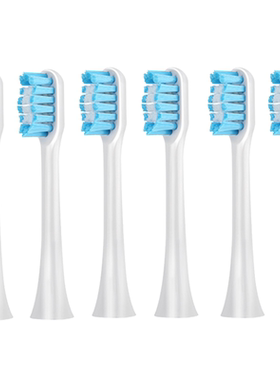 软毛卡通beddy bear韩国杯具熊电动牙刷头声波成人通用替换儿童