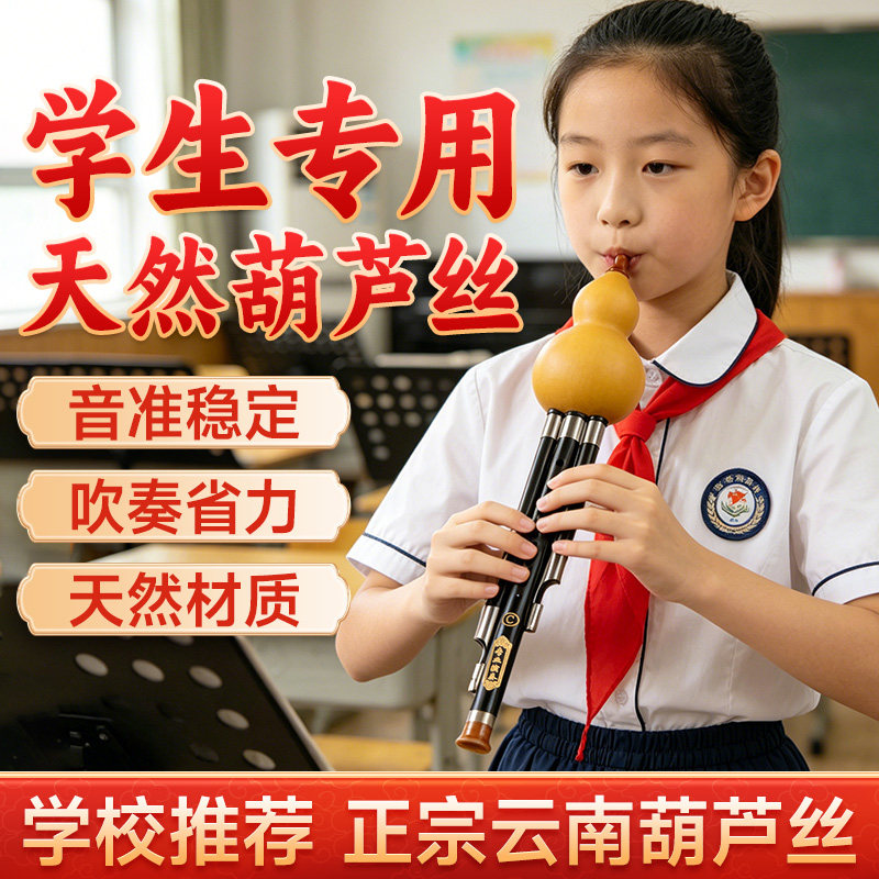 乌木葫芦丝乐器C调降B调小学生专用成人初学者入门专业七孔胡芦丝