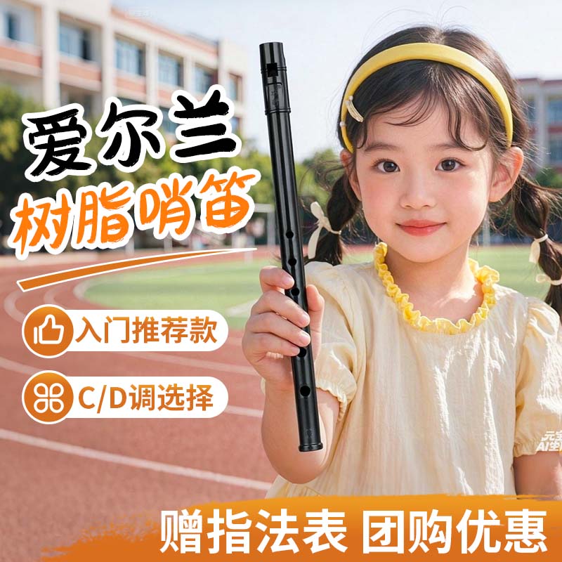 龙轩爱尔兰哨笛乐器6孔小学生专用C/D调初学笛子儿童树脂防摔竖笛