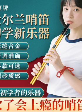 美度牌爱尔兰哨笛乐器C调D调金属笛子儿童小学生专用专业六孔竖笛
