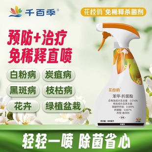 千百季花枝俏植物通用免稀释杀菌剂月季白粉病花药花卉除菌多菌灵