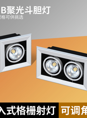 led射灯双头筒灯cob斗胆灯单头双头嵌入式商用方形格栅豆胆天花灯
