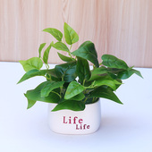 仿真绿植假花摆件绿萝叶小盆栽办公桌面室客厅茶几植物摆设装 饰品