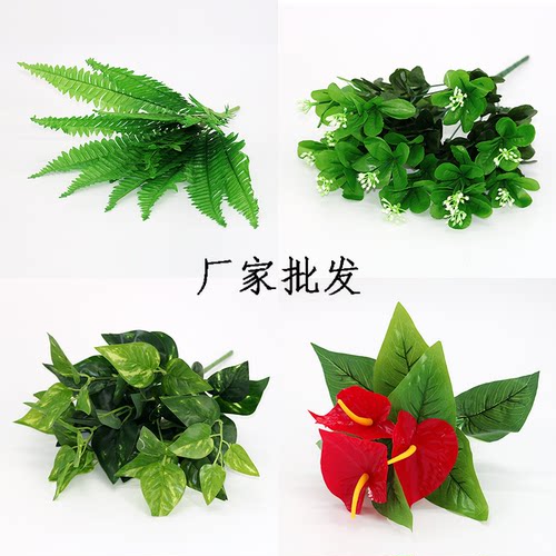 波斯叶草蕨类植物假绿萝背景墙