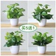 仿真植物假花绿植室内外网吧装 饰塑料盆栽绿萝小盆景摆件花草植物
