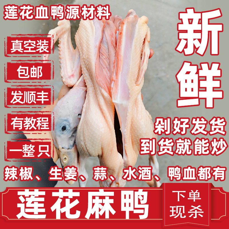 莲花血鸭农家diy土鸭生鸭整只江西萍乡血鸭湖南永州血鸭 顺丰包邮