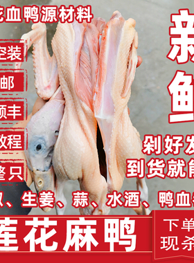 莲花血鸭农家diy土鸭生鸭整只江西萍乡血鸭湖南永州血鸭 顺丰包邮