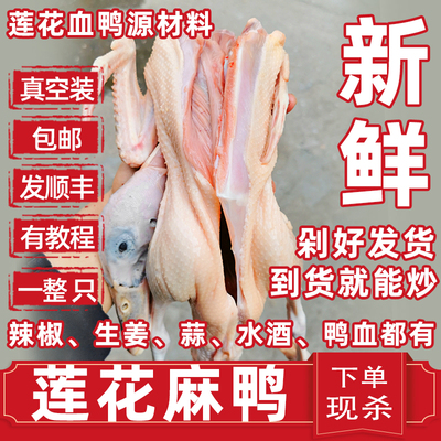 莲花血鸭江西萍乡湖南永州生鸭