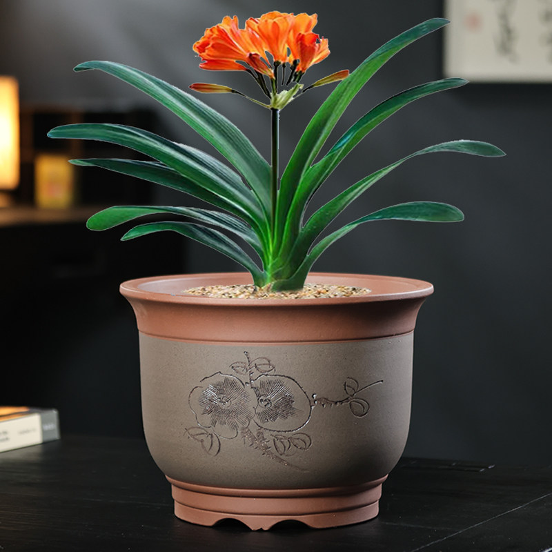 宜兴紫砂花盆兰花盆君子兰专用花盆茶花桂花三角梅陶瓷花盆特价