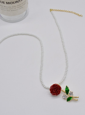 简约气质时尚复古珍珠项链锁骨链小众设计感镶钻花朵吊坠胸针配饰