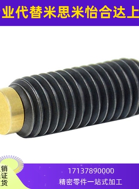 TDA21 内六角型聚氨酯止动机米螺丝 SBCTS5/6/8-8/10/12/16/20/50