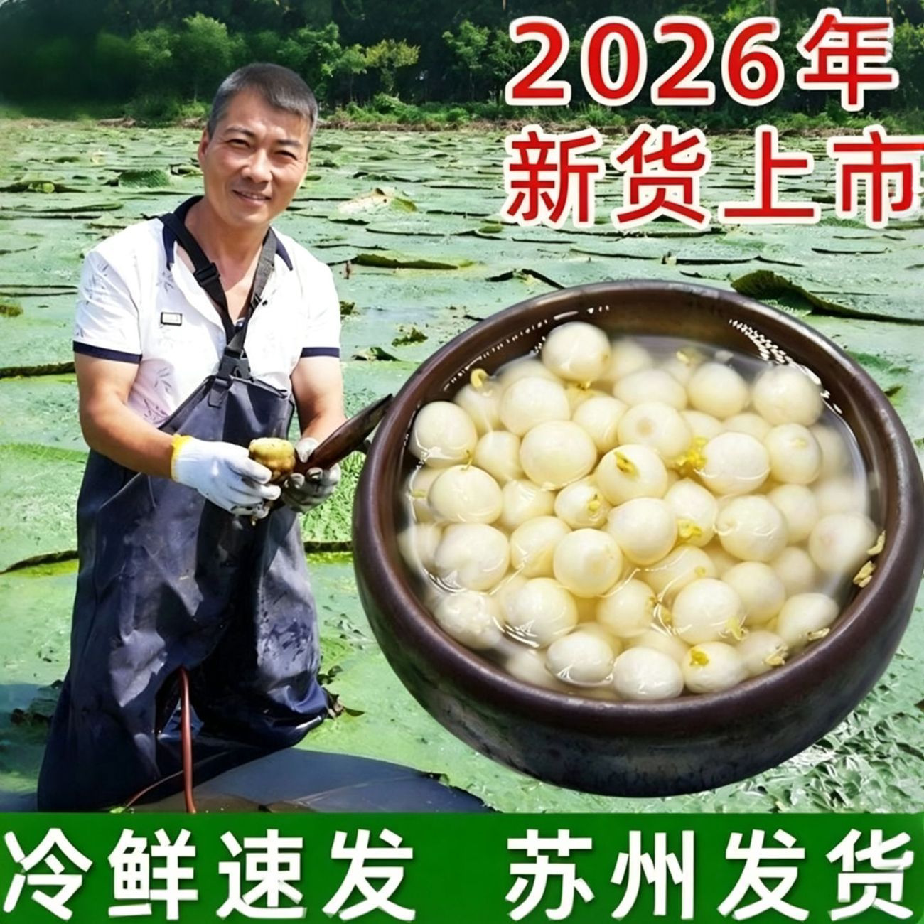2026野生大颗粒鸡头米真空装
