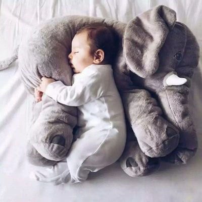 elephantsofyingudbw