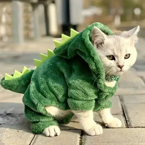 1pc Dinosaur Cat Dog Costume with Hood & Spiky Tail Outfit f