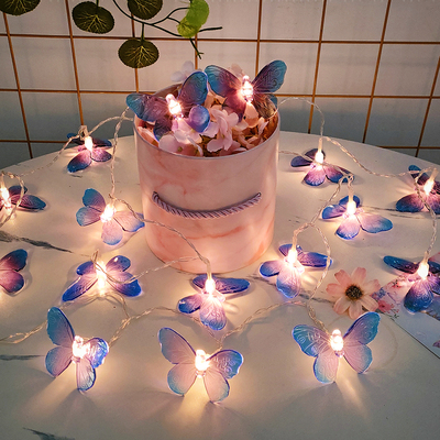 1.5M10LEDButterflyig