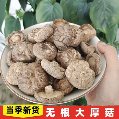 秦宝宝香菇正宗秦岭干活厚肉香菇小椴木冬菇陕西特产深山干货菌类