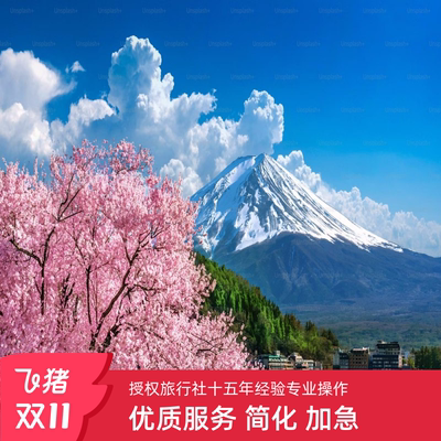 日本·单次旅游签证·上海送签·❤拒签退款❤【锦江】简化加急一对一服务新政个人旅游东京大阪奈良日本签证